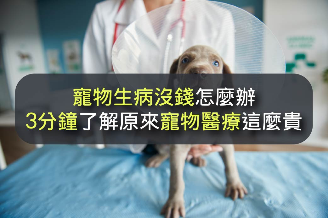 【毛小孩】寵物生病沒錢怎麼辦？3分鐘了解，原來寵物醫療這麼貴！｜台灣簡單貸